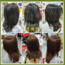 큐사랑염색 이미지