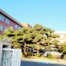 감성푸드 이미지