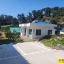 신효동-19 이미지