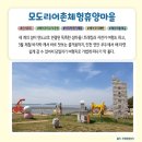 모도리 바지락캐기 네이버블로그