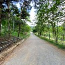 행진목장 이미지