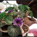 설악온천장 이미지