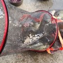 힐링낚시터 이미지