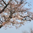 낙동강변로3-3 이미지