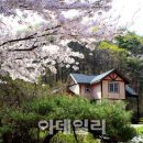 국립자연휴양림관리소 칠보산 자연휴양림 이미지