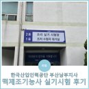 떡 제조기능사 자격대비반 | 부산 남부 떡제조기능사 2025년 정기 기능사 3회 실기시험 후기 (feat. 완전 억울)
