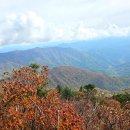 화악산잣