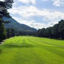 현충원로(유성-19) 이미지