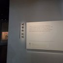 풀잎 작은도서관 | 부산 가볼 만한 곳 영도 국립해양박물관 방문 후기