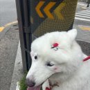 키친마트 이미지