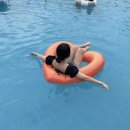 별,솔 펜션 | 여수 솔스테이 풀빌라 펜션 르보브C 내돈내산 후기 /여수여행 숙소 추천