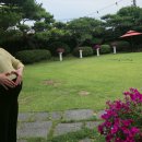 카페더릿 | 내돈내산｜하남 미사 정원이 예쁜 카페 추천 <카페더릿 하남미사> 아이, 반려동물과 가기 좋은 힐링 카페