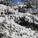 삼한시대 이미지