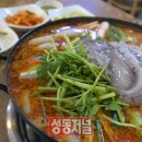 동태별곡 우거지동태탕 성동저널