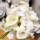 팡파르노래방 | 친구결혼식 축가 &amp; 부케순이 후기