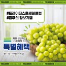 삼성카드(주)