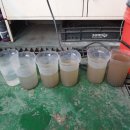 모아크리닝 이미지