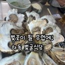 섬진강제첩국 | [하동 맛집] 섬진강의 보물, 압도적 크기의 '하동 벚굴식당' 벚굴찜 솔직 후기