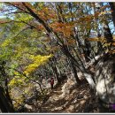 추성주차장 이미지