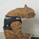 밤새 너를 걱정하겠어 넌 모르는 것 같아서 말야
