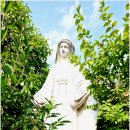 초원의집 이미지