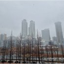 루나갤러리공인중개사사무소 네이버블로그