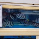 부산광역시 동구 초량중로 이미지