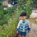 경현농장 이미지