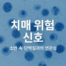 웰디렉터