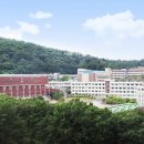 대성텍스타일 이미지