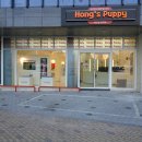 대구강아지분양 퍼피얌 | 대구 강아지 분양 퍼피얌 들렀다 홍스퍼피까지