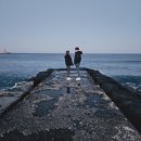 스테이해모루 이미지