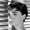 오드리 독 이미지