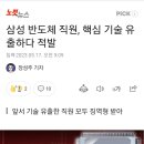 삼성 반도체 직원, 핵심 기술 유출하다 적발 이미지