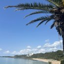 월드당구장 | 제주 신화월드 워터파크 테마파크 이용 솔직 후기 (예약 꿀팁 + 이것만은 알고가자)