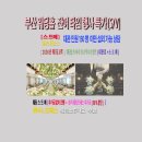 부산웨딩홀 잔여타임 특가 할인[대관,스드메] 이미지
