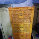 종철농장 이미지