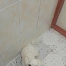 강화동로 이미지