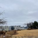 재벌집 | 광안리 모모스커피 도모헌점 내돈내산 후기 + 옛 부산시장 관사, 재벌집 막내아들 촬영지 도모헌 방문후기