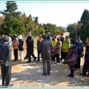 금송농장2 이미지