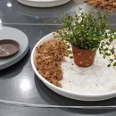 트리안코