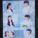 온실노래주점 | 디큐브 링크아트센터 1층 B구역 1열 14번 시야 후기 양요섭, 류인아, 박재윤 배우님 자첫자막 후기