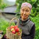 학이네농장 이미지