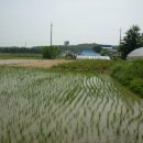 들녘농장 이미지