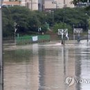 온천천일대11 이미지