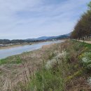 청양 6리 이미지