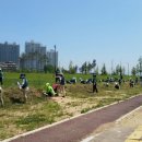 희망의 꽃밭에서 이미지