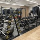 리든덤벨 이미지