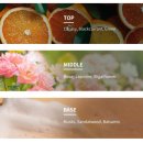 영크리닝 | 손상모에 단백질 충전!!박준뷰티랩LPP 단백질샴푸 올리브영구매후기