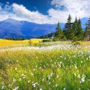 접촉예감 이미지